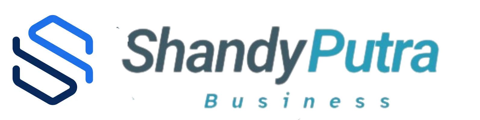 Shandy Putra Business - Solusi Business Profesional